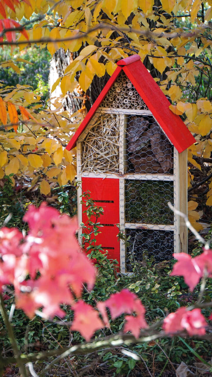 Insektenhotel mit rotem Dach Insektenhotel mit rotem Dach